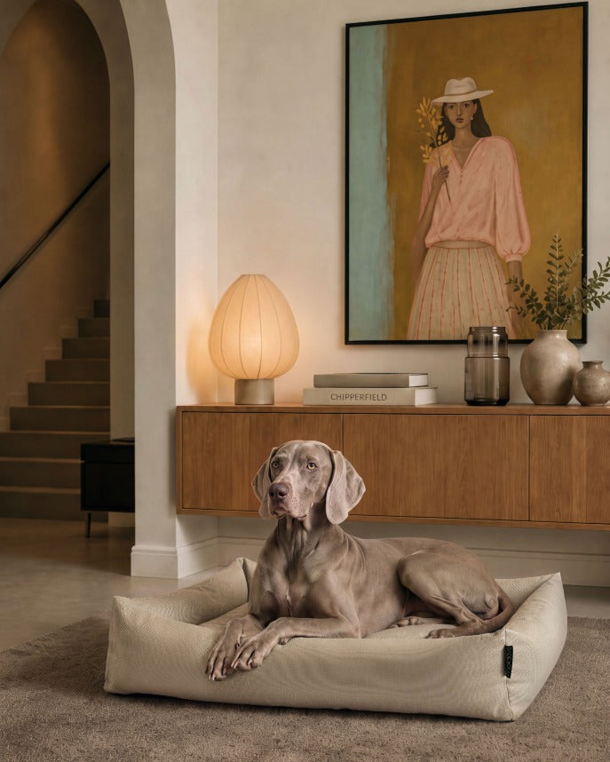 Panier pour chien Dogsofa